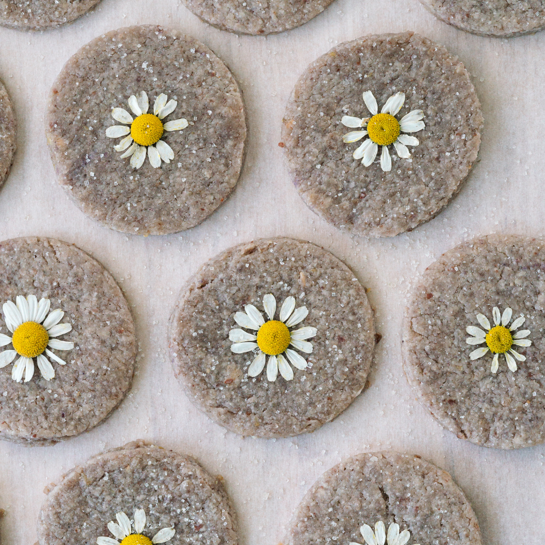 Round lemon blueberry shortbread cookies decorated with small white daisies.