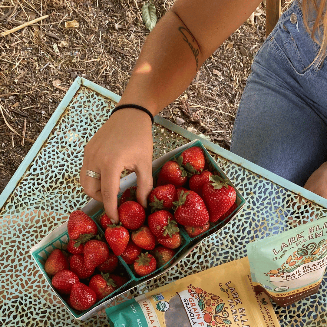 Vanilla Cinnamon Granola