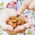 Organic Sprouted Almonds - Lark Ellen Farm